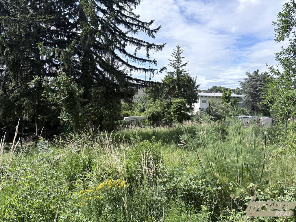 Immobilienbild 2