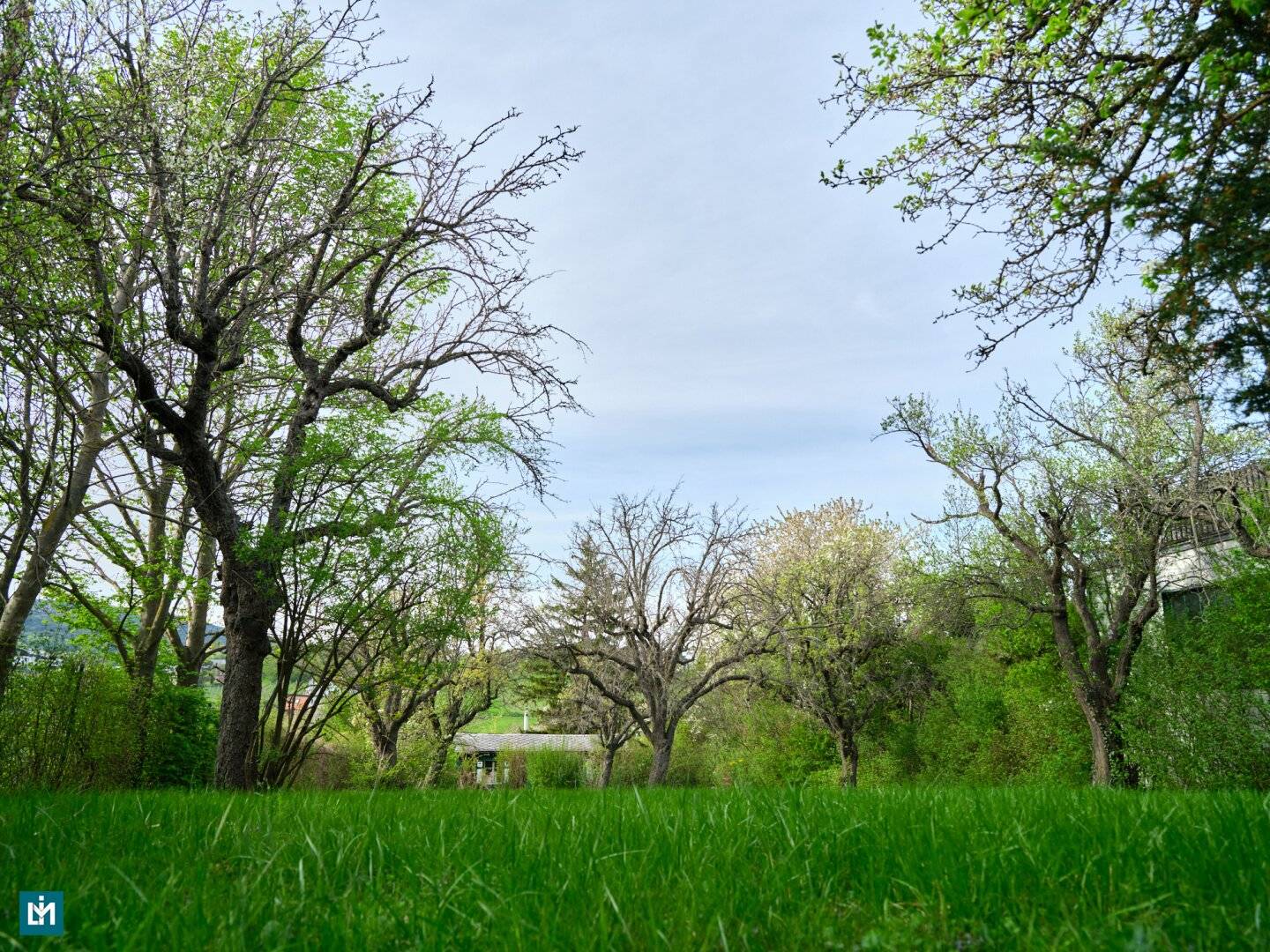 Building Plot with Slope and Vineyard View