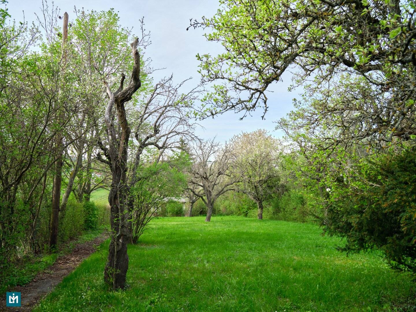 Building Plot with Slope and Vineyard View