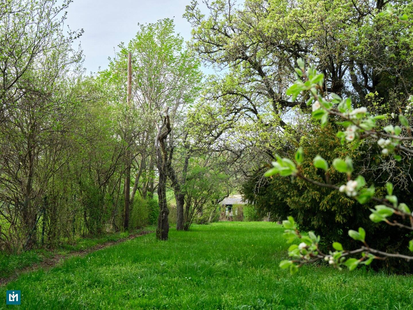 Building Plot with Slope and Vineyard View