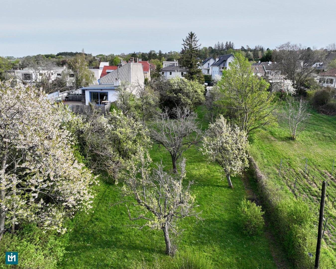 Building Plot with Slope and Vineyard View