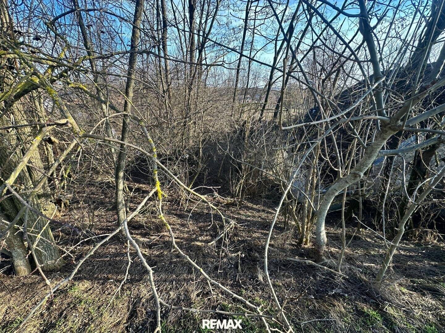 Weinkeller mit Grünfläche in Bullendorf