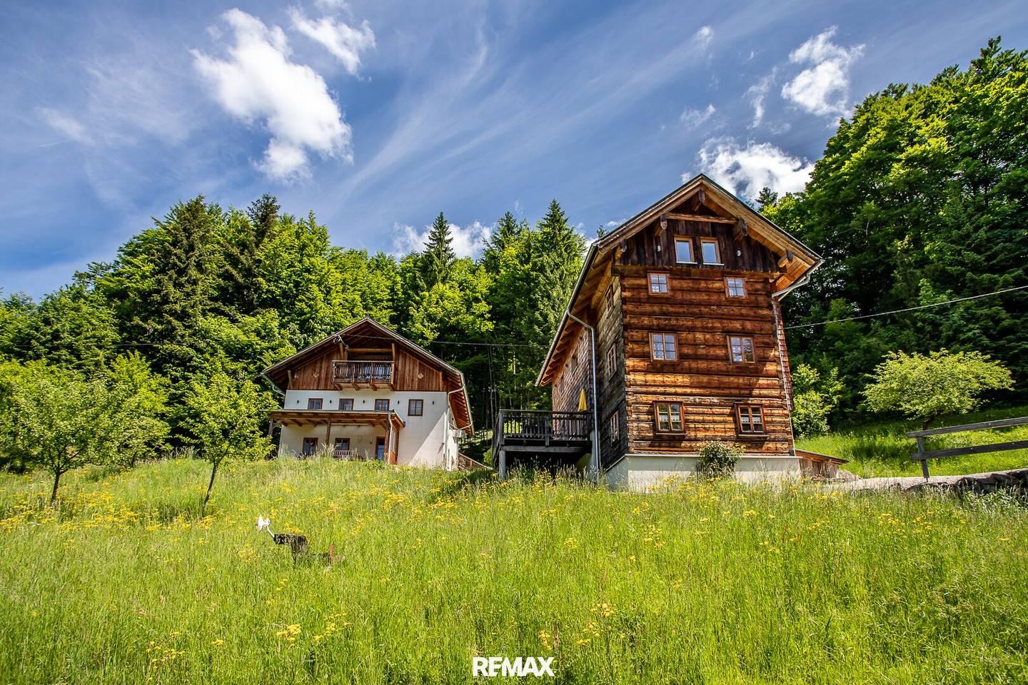 Luxury Forest Property near Bad Goisern
