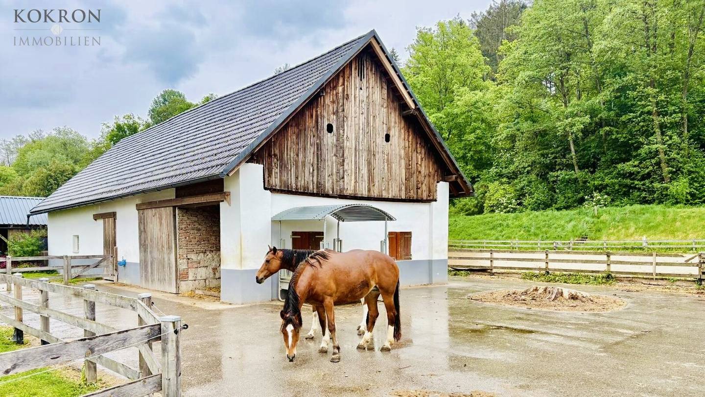 Exklusives Reitanwesen mit 6 Wohneinheiten