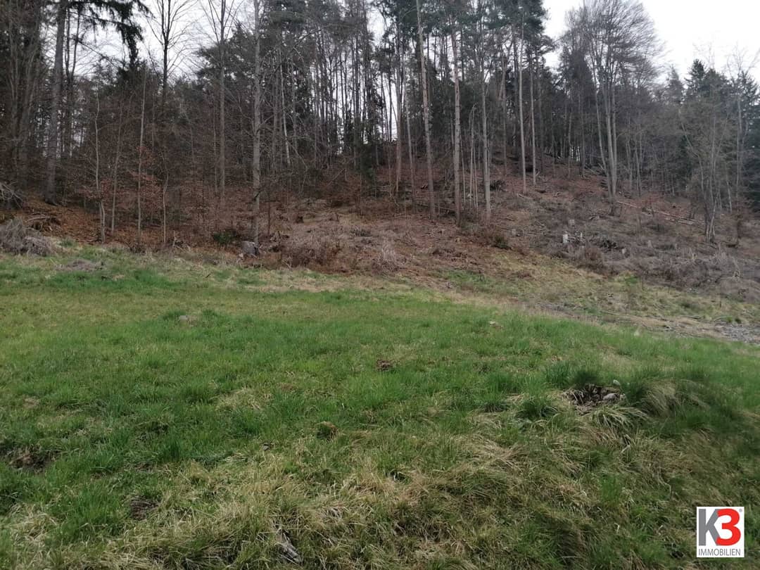 Baugrundstück mit Bergblick in Velden