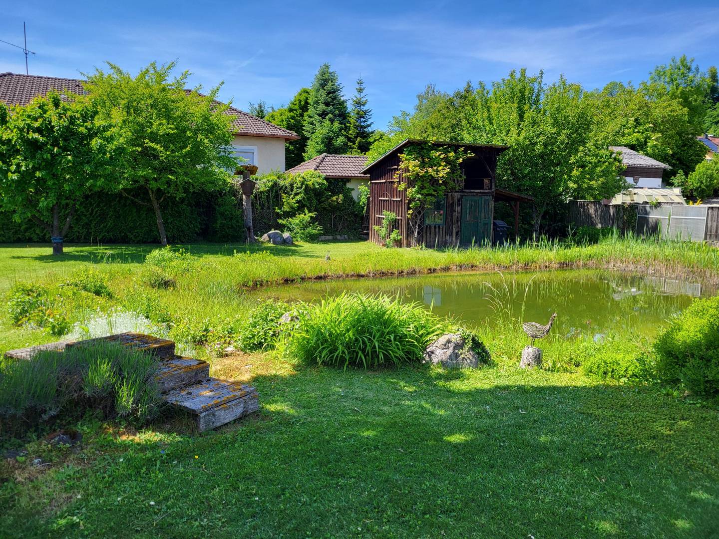Baugrundstück mit Schwimmteich in Neuzeug