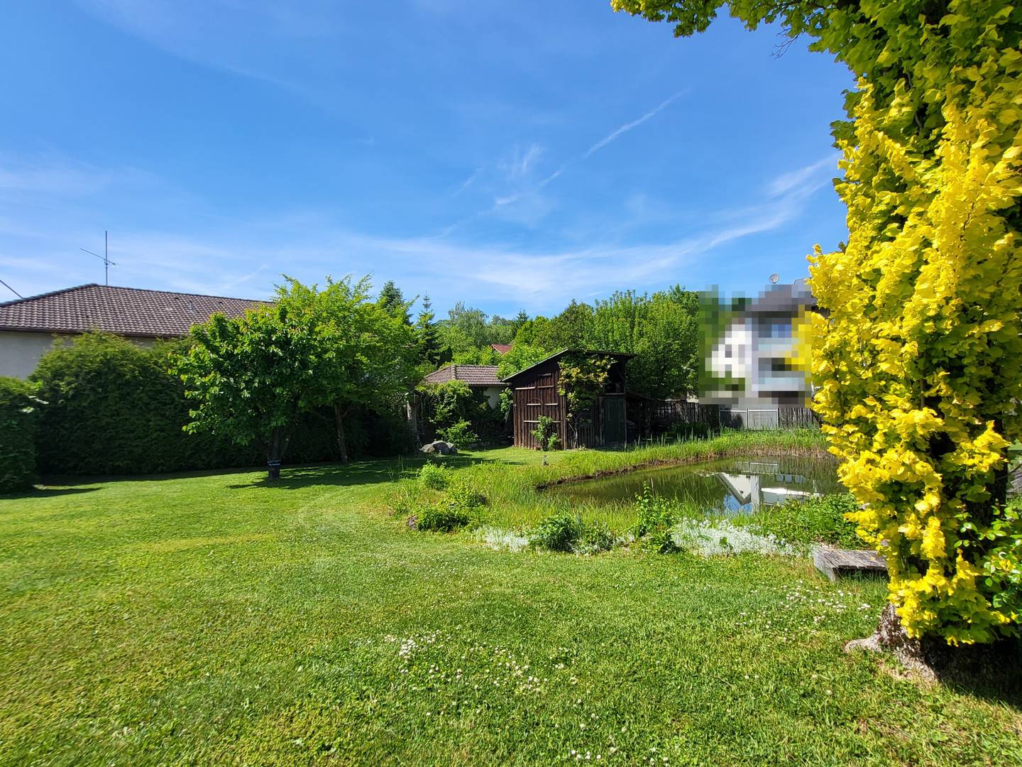 Baugrundstück mit Schwimmteich in Neuzeug