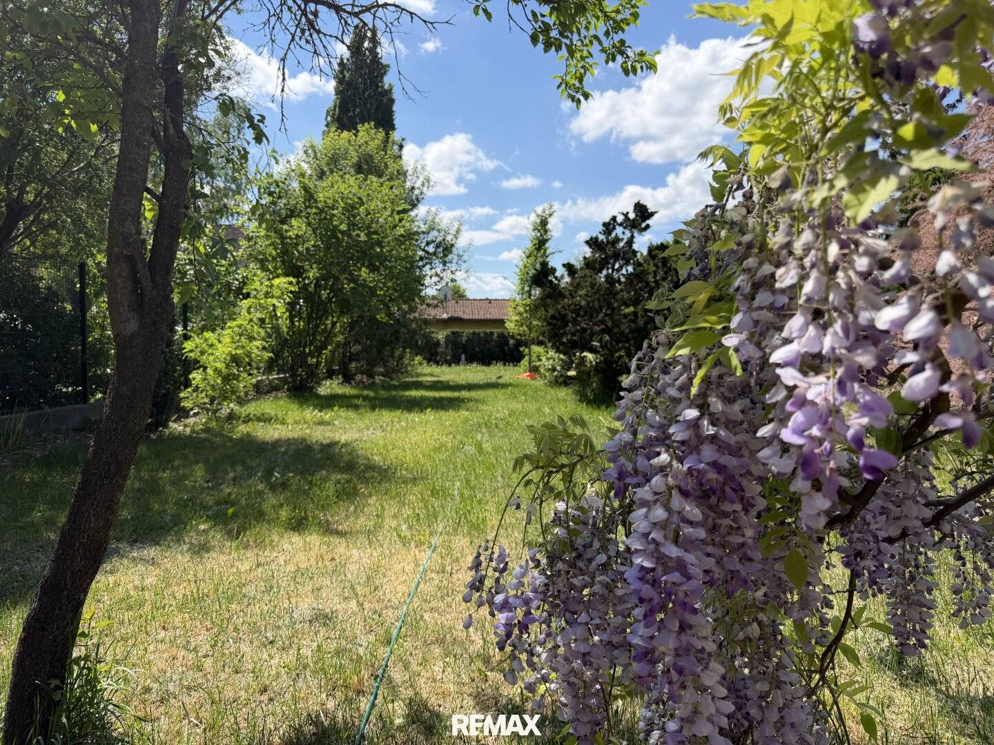 Altbaujuwel mit Garten in Wien 23.