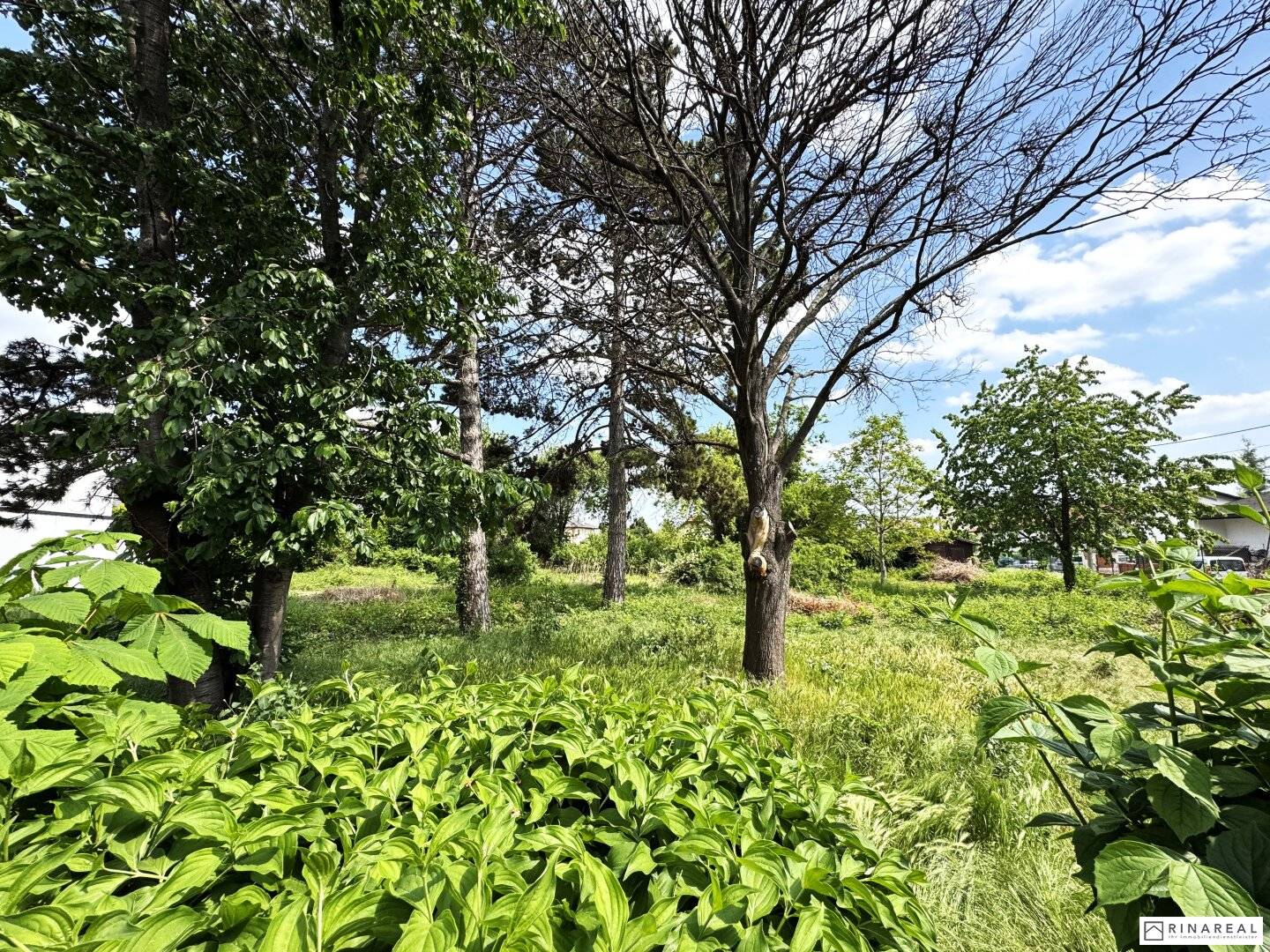 Unbebautes Grundstück 600 m² in Leopoldsdorf