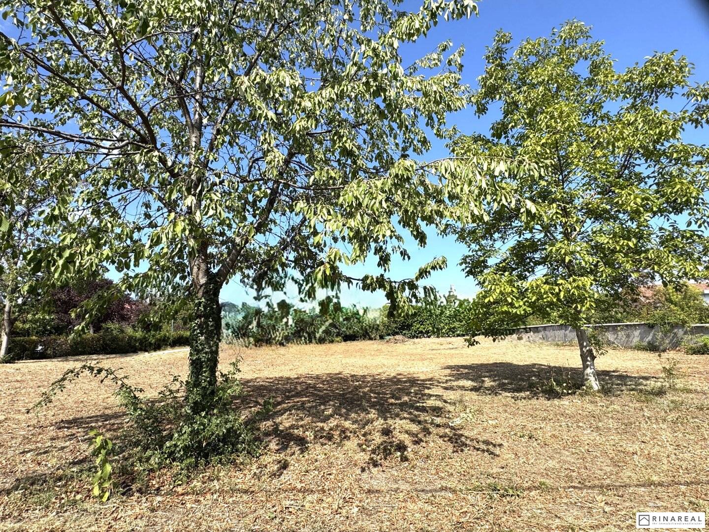 Undeveloped Plot 600 m² in Leopoldsdorf