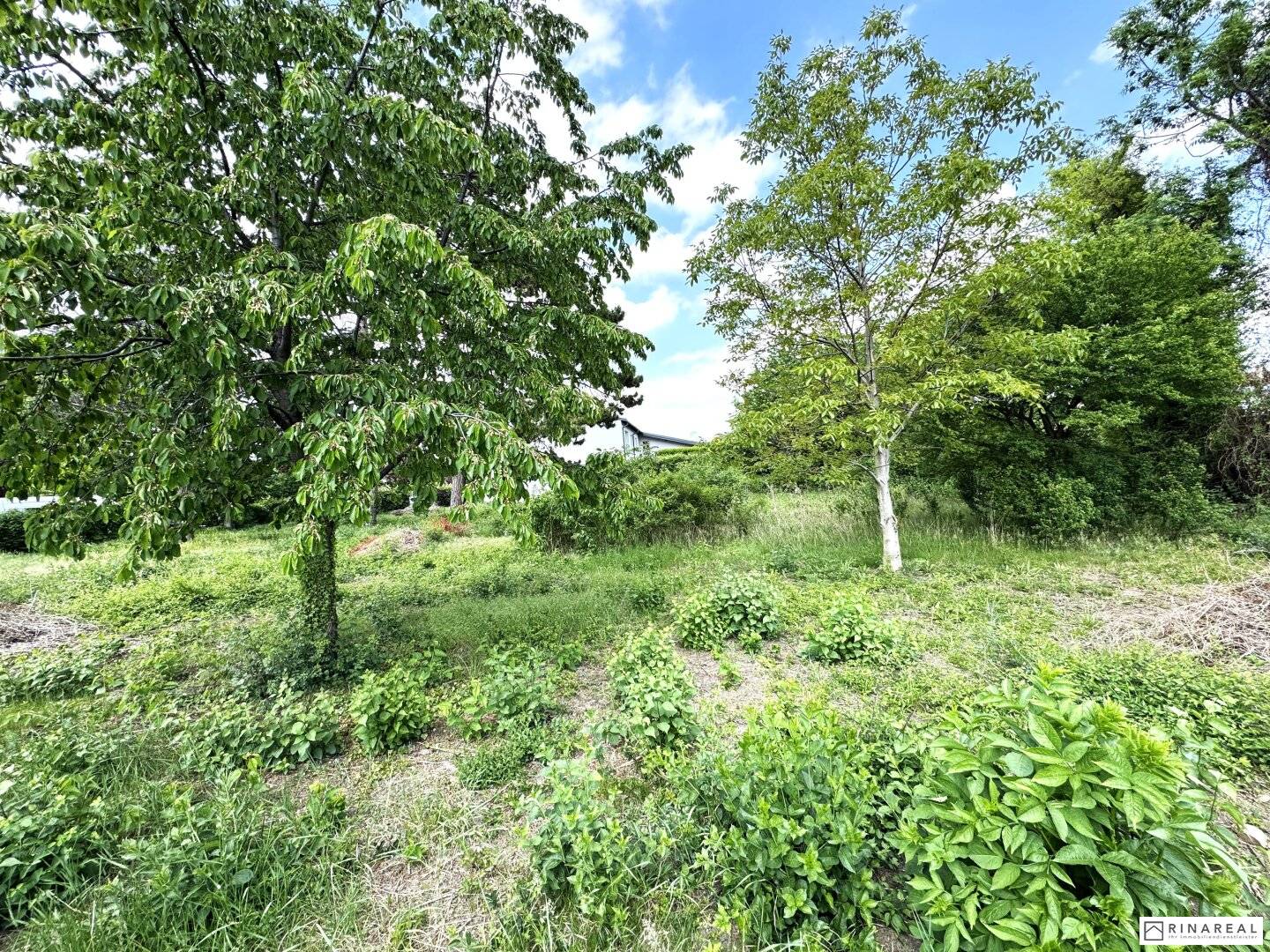 Unbebautes Grundstück 600 m² in Leopoldsdorf