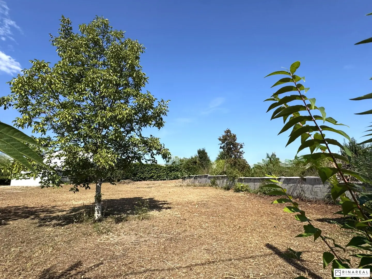 Unbebautes Grundstück 600 m² in Leopoldsdorf