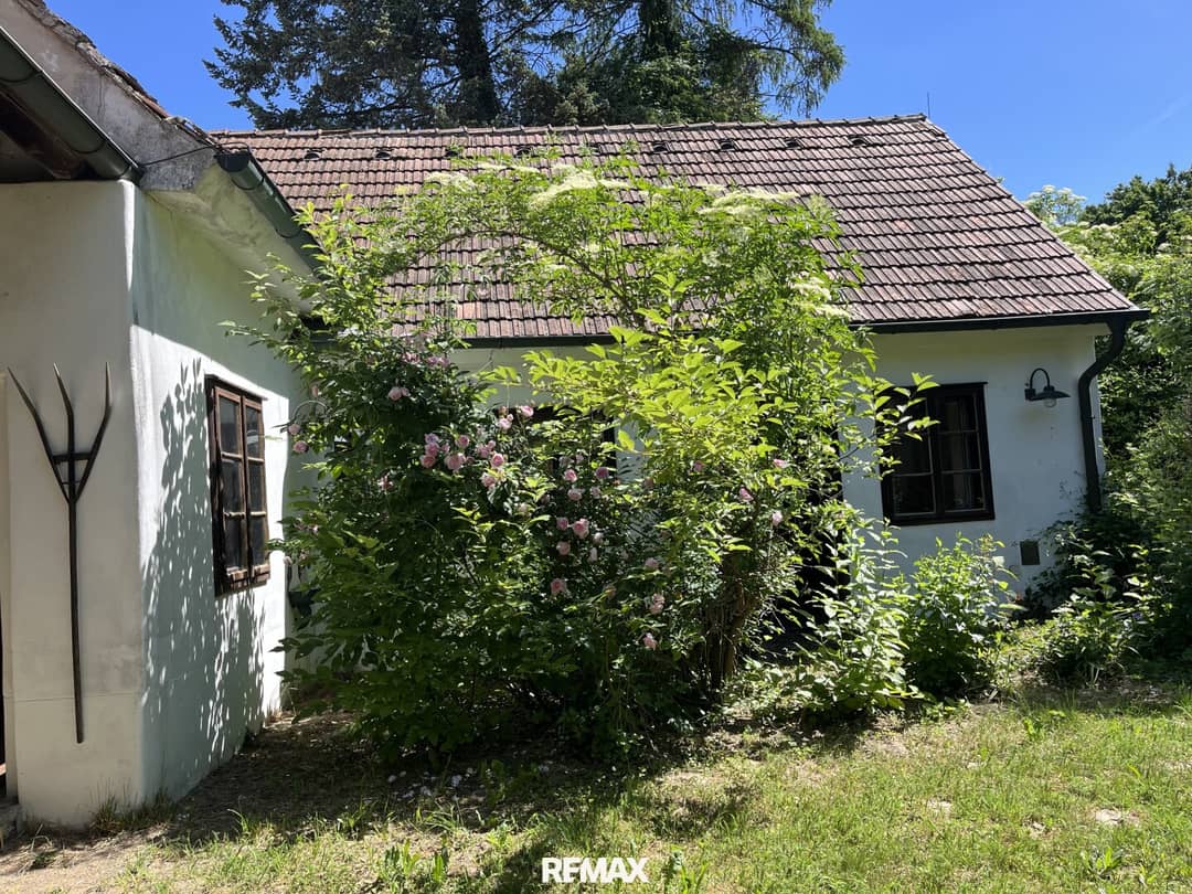 Haus Ansicht