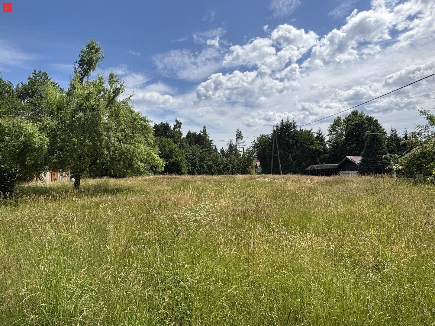 Idyllisches Holzhaus mit großzügigem Grundstück in Wies
