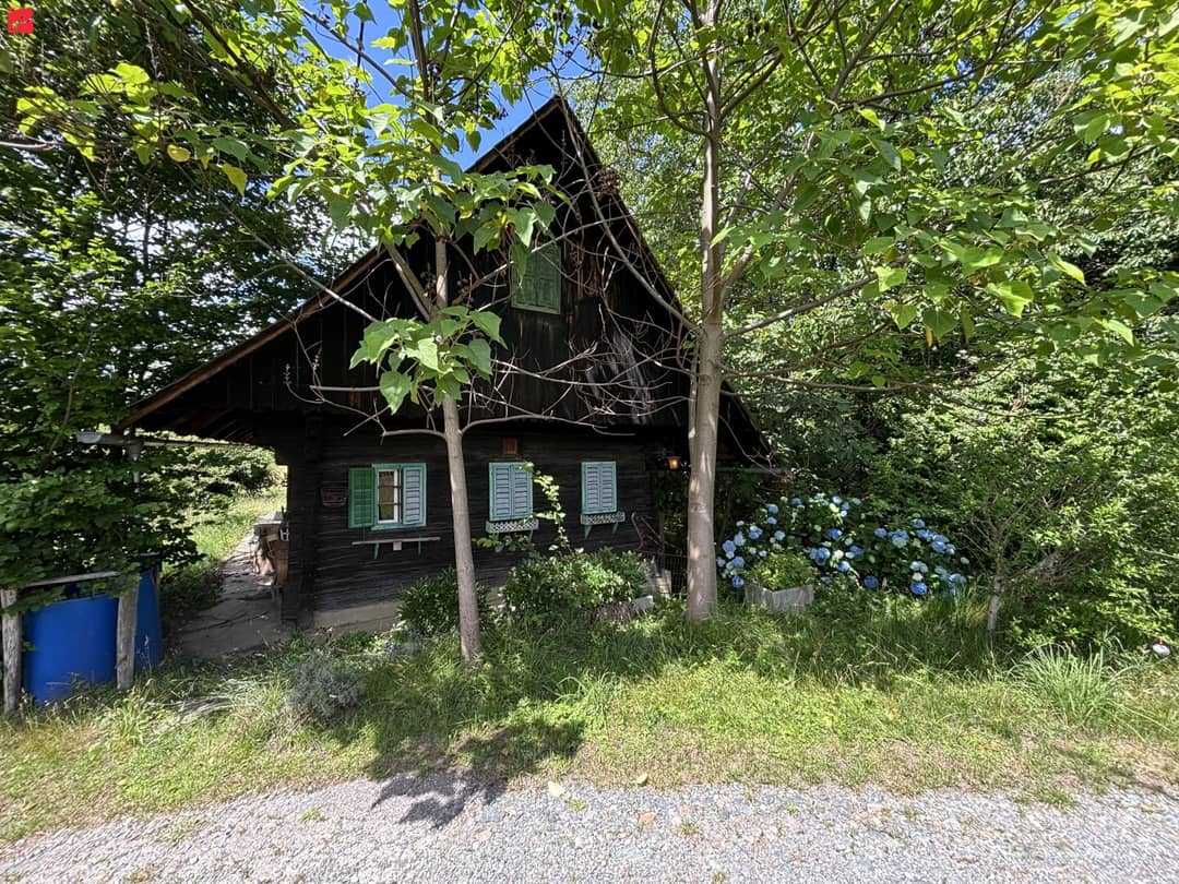Baugrundstücke in grüner Lage mit Wald und Wiesen
