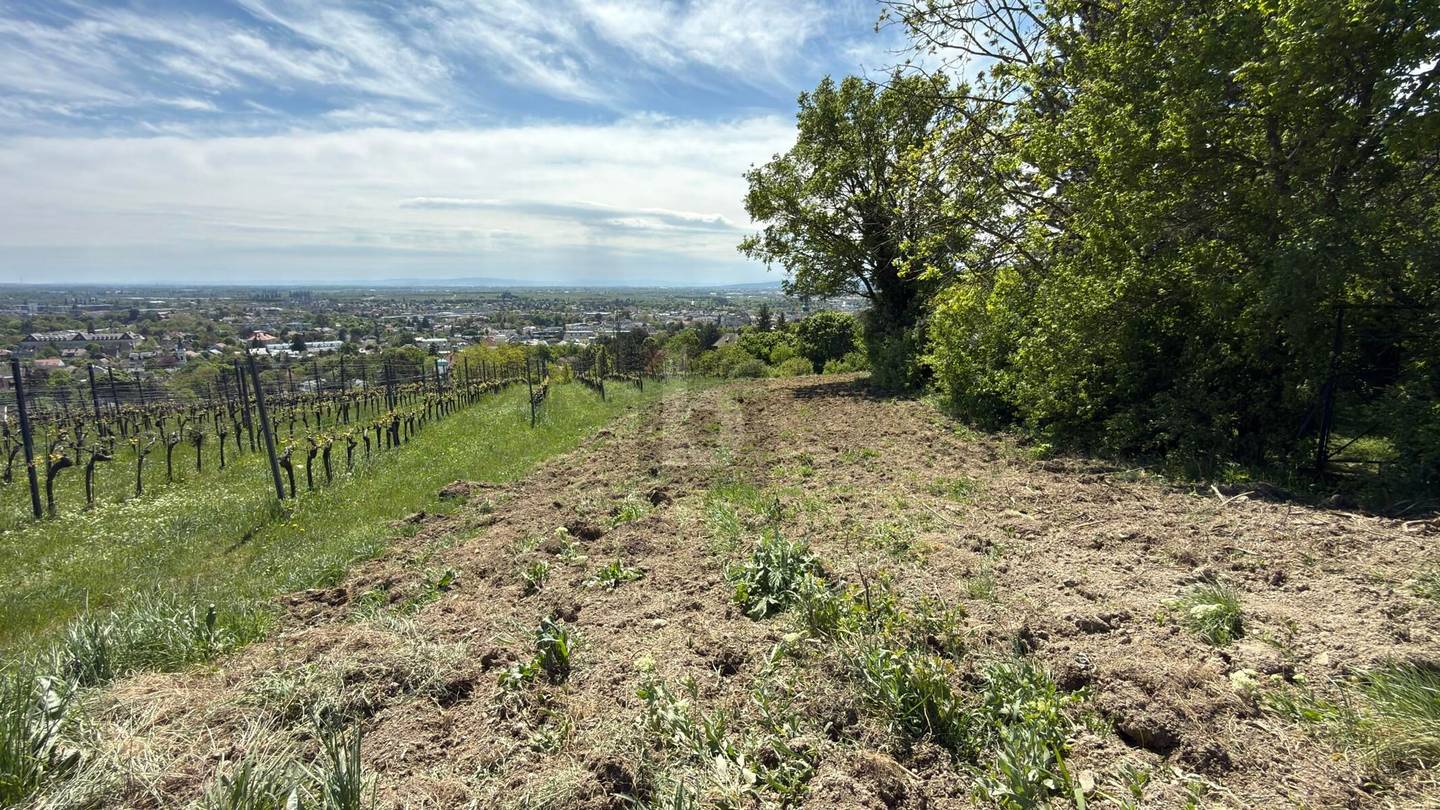 Panoramic plot in quiet edge of town Investment apartment