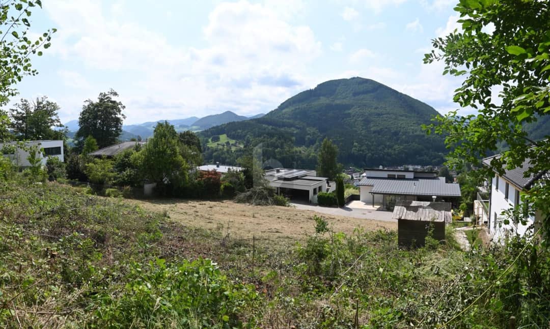 Exklusiver Südhang-Baugrund in Waidhofen