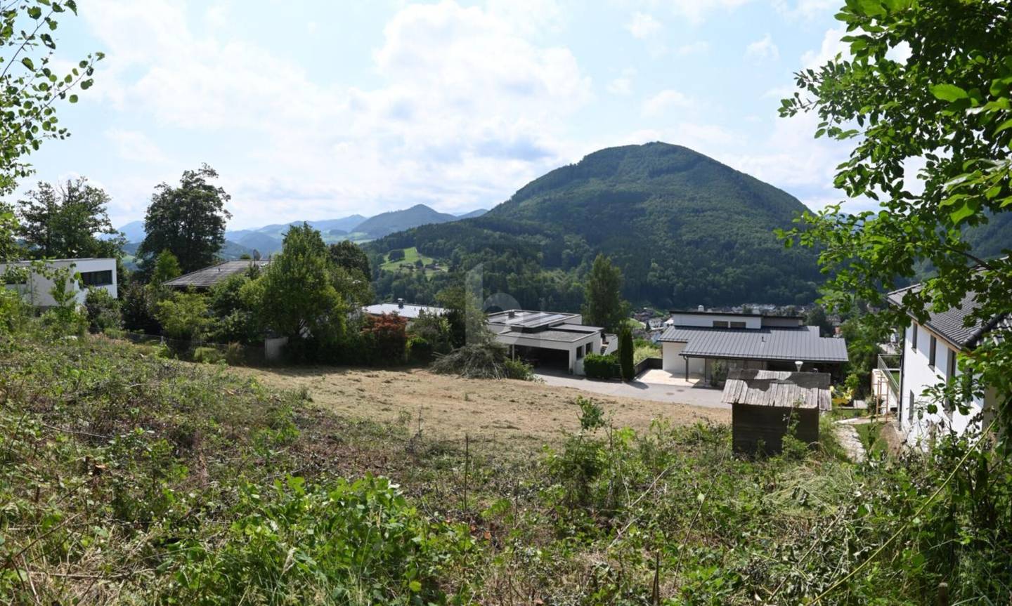 Sonniger Südhang mit unverbaubarem Blick Wohnung