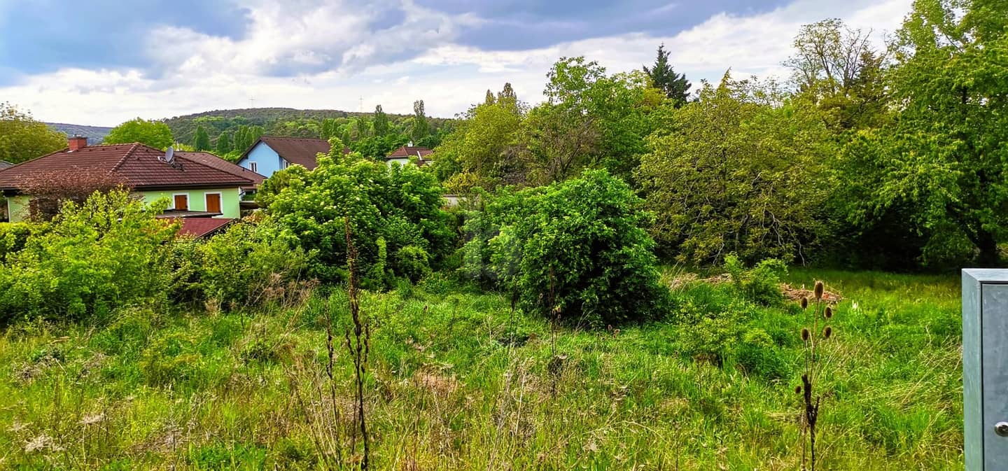 Weitblick ins Grüne Entwicklungsfläche Wohnung