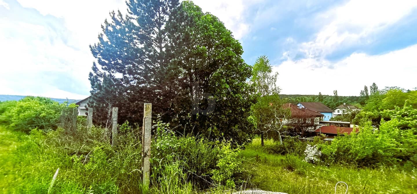 Weitblick ins Grüne Entwicklungsfläche Wohnung