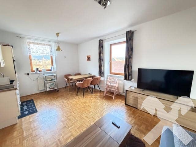 Renovated apartment in the Murtal