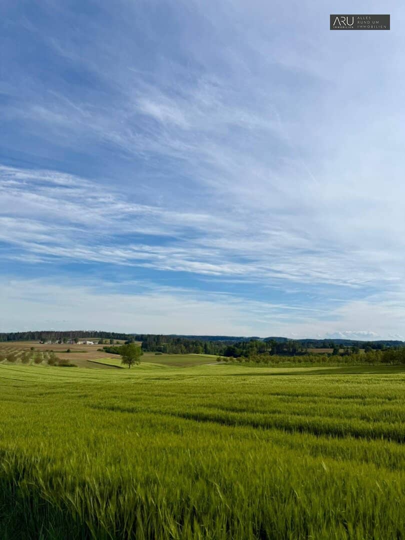 Baugrundstück mit 949 m² in Löffelbach