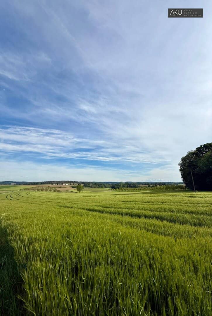 Baugrundstück mit 949 m² in Löffelbach