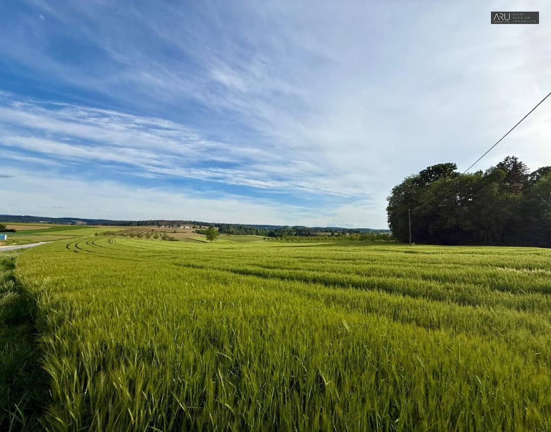 Baugrundstück mit 949 m² in Löffelbach