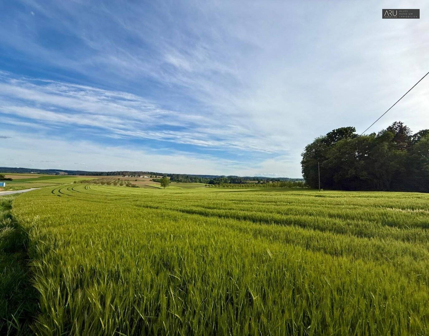 Baugrundstück mit 949 m² in Löffelbach