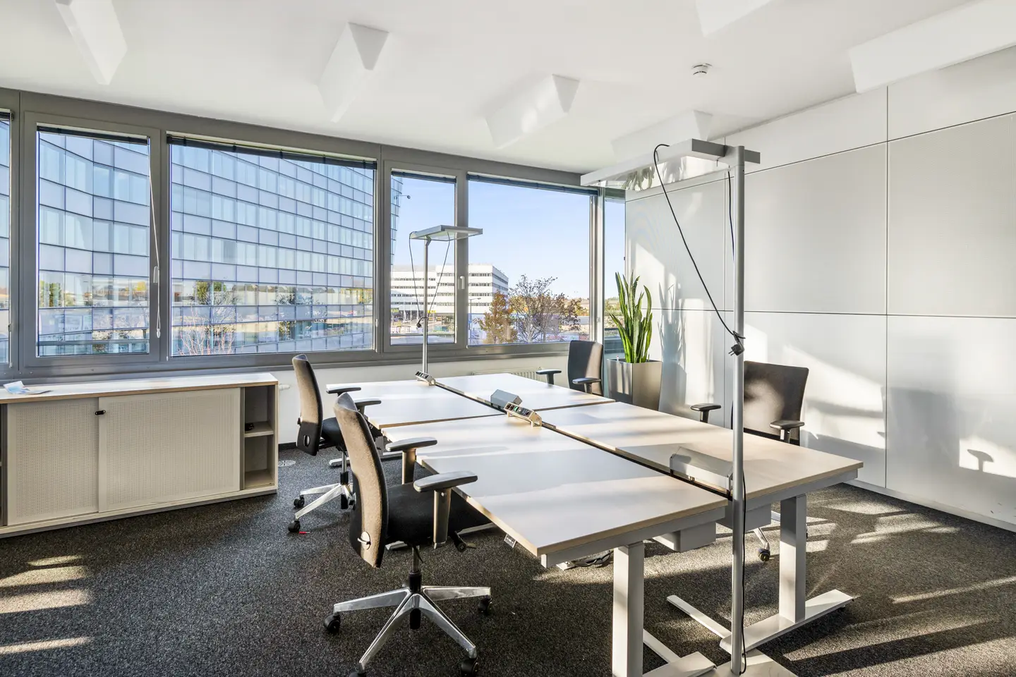 Office Space in Siemens Campus Vienna