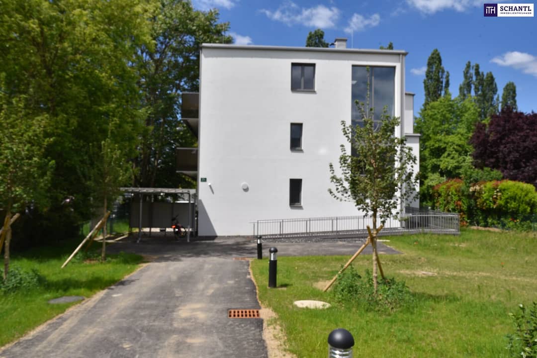 Immobilienbild 4