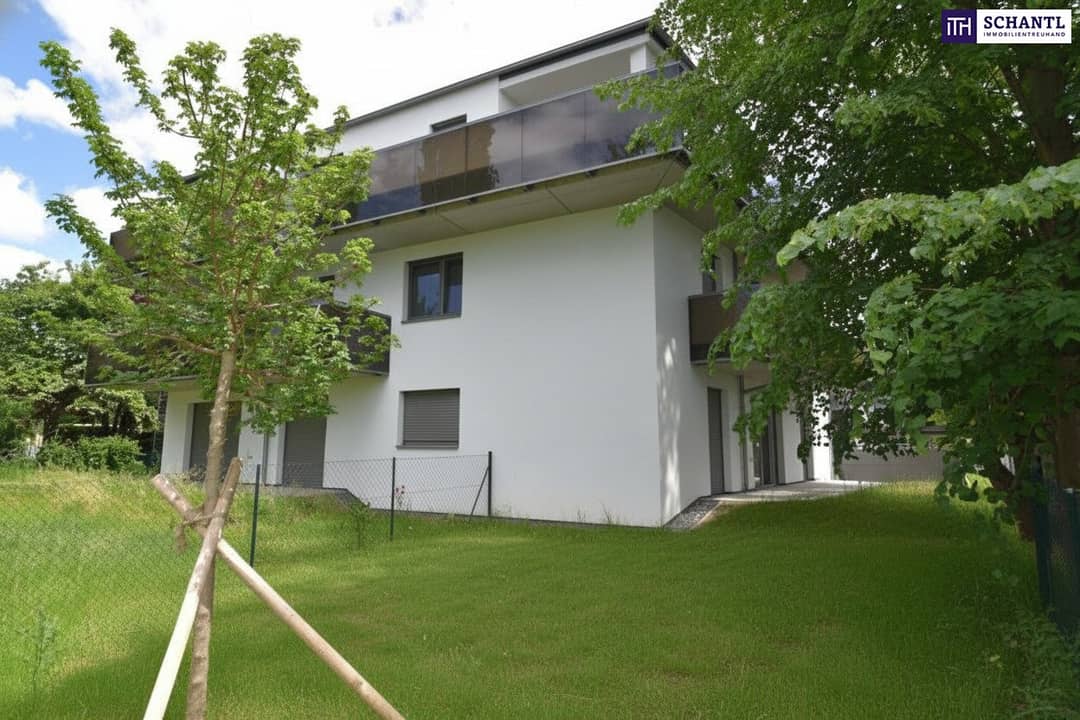 Immobilienbild 2