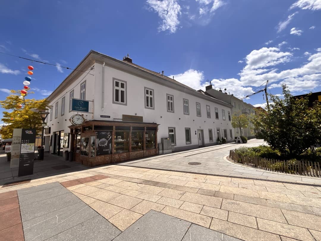 Wohnung mit Privatterrasse und hohen Decken
