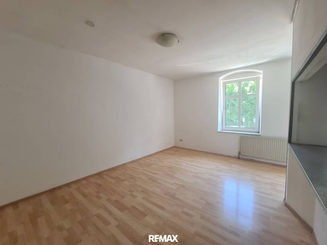 apartment in the center with bright living room and adjacent kitchen