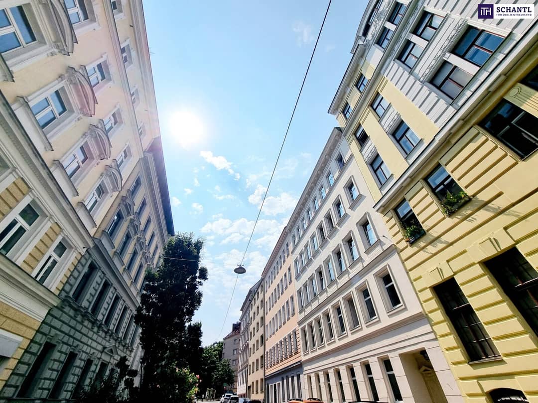 Attic Development in 1050 Vienna