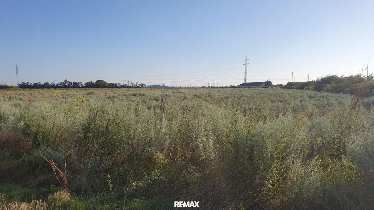 Plot with Development Potential