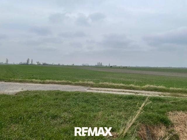 Landwirtschaftliches Grundstück Podersdorf