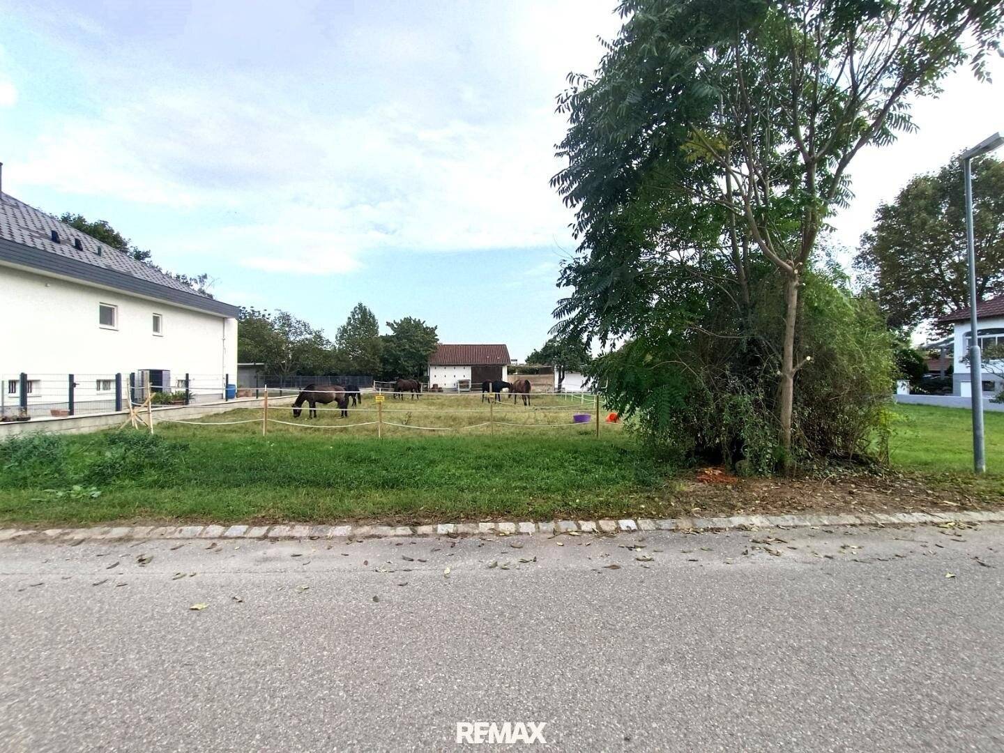 Zentrumsnaher Baugrund in Gols