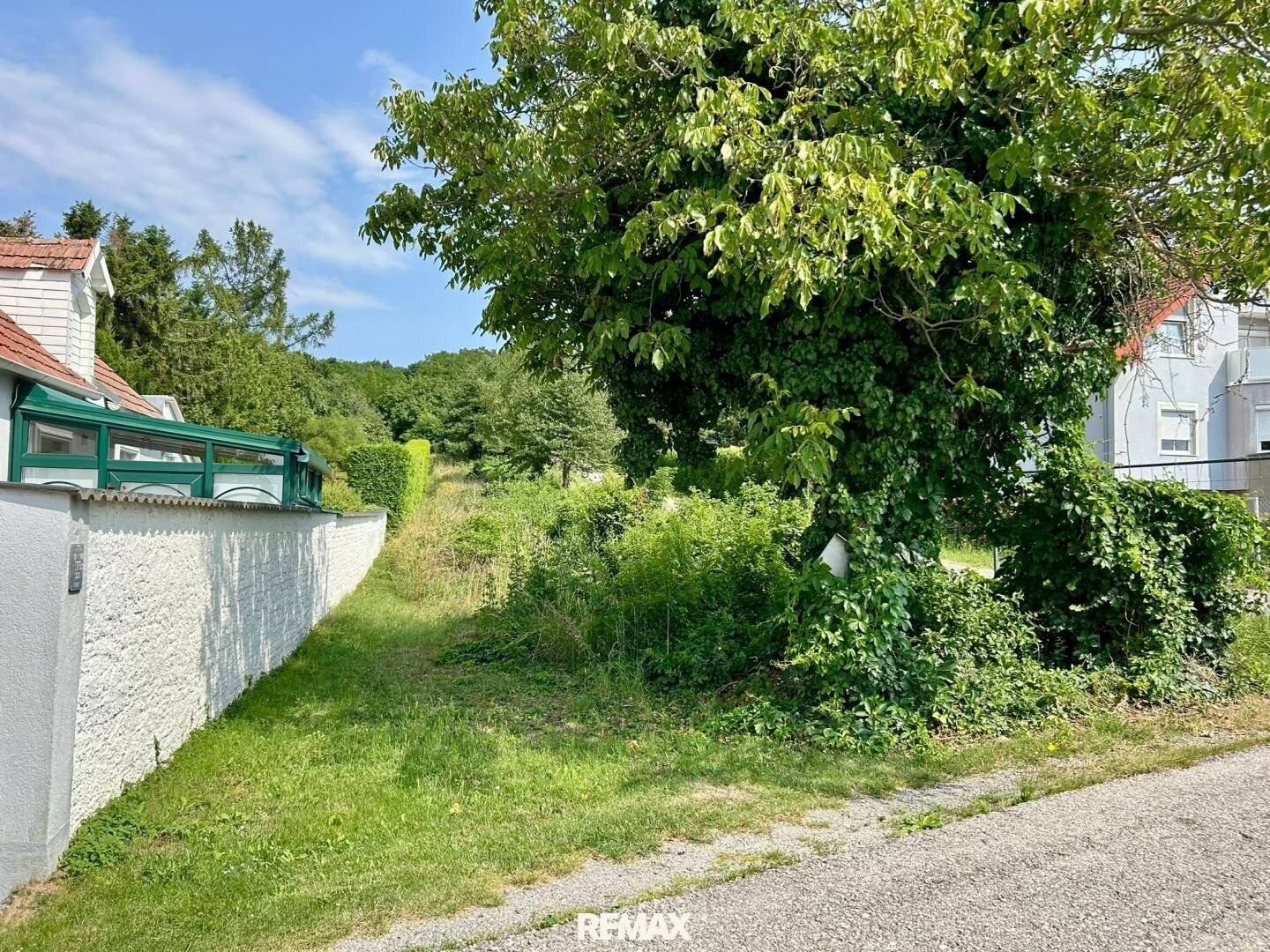 Baugrundstück am Leithagebirge
