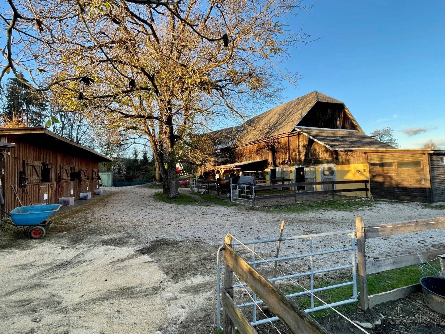 Grundstück mit Seeblick & Reitanlage