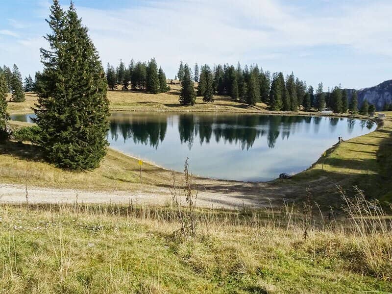 Nature Idyll with Forest in Grünau im Almtal