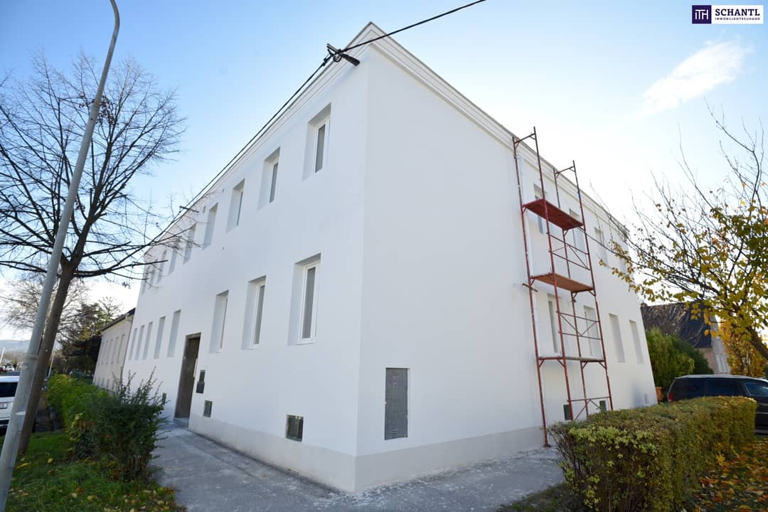 Raw Attic with Building Permit in Korneuburg