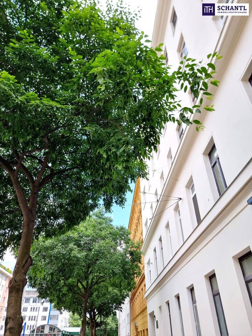 Wohnung U Bahn ums Eck im renovierten Altbau