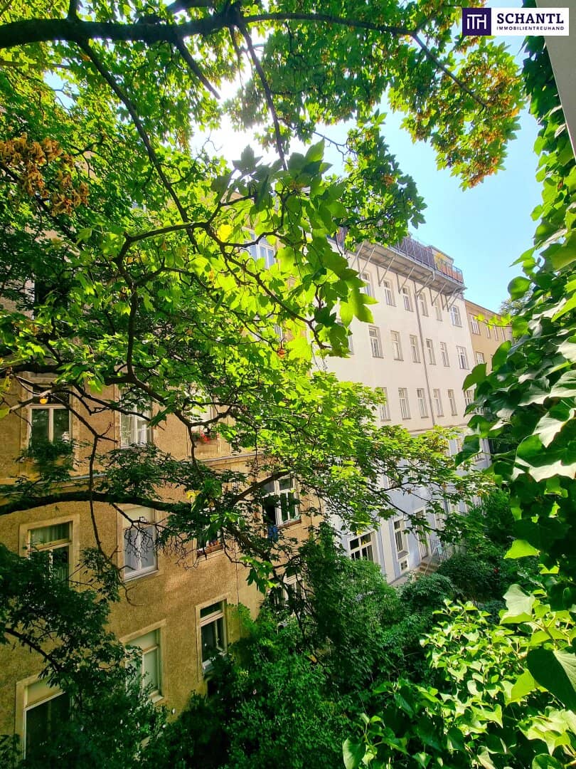 Wohnung ruhige Hoflage Blick ins Grüne frisch saniert