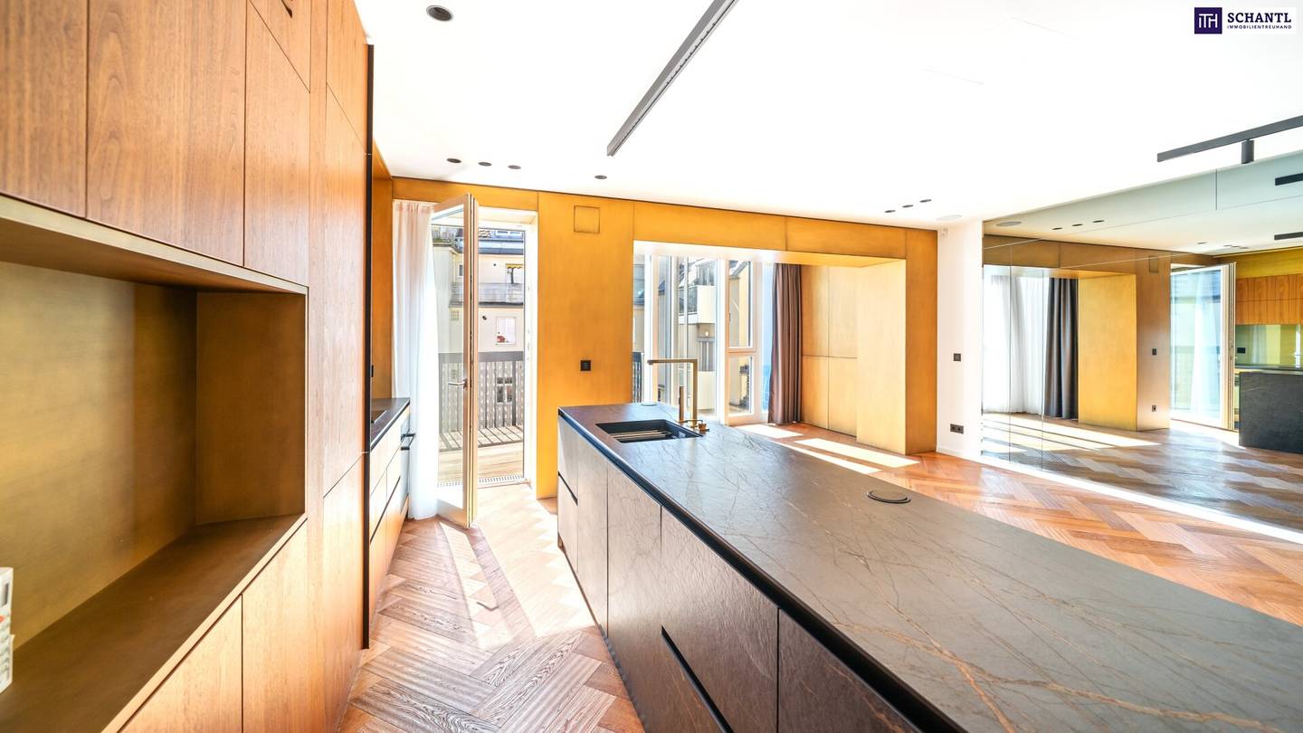 Wohnung Hofterrasse in Top Lage Stephansplatz