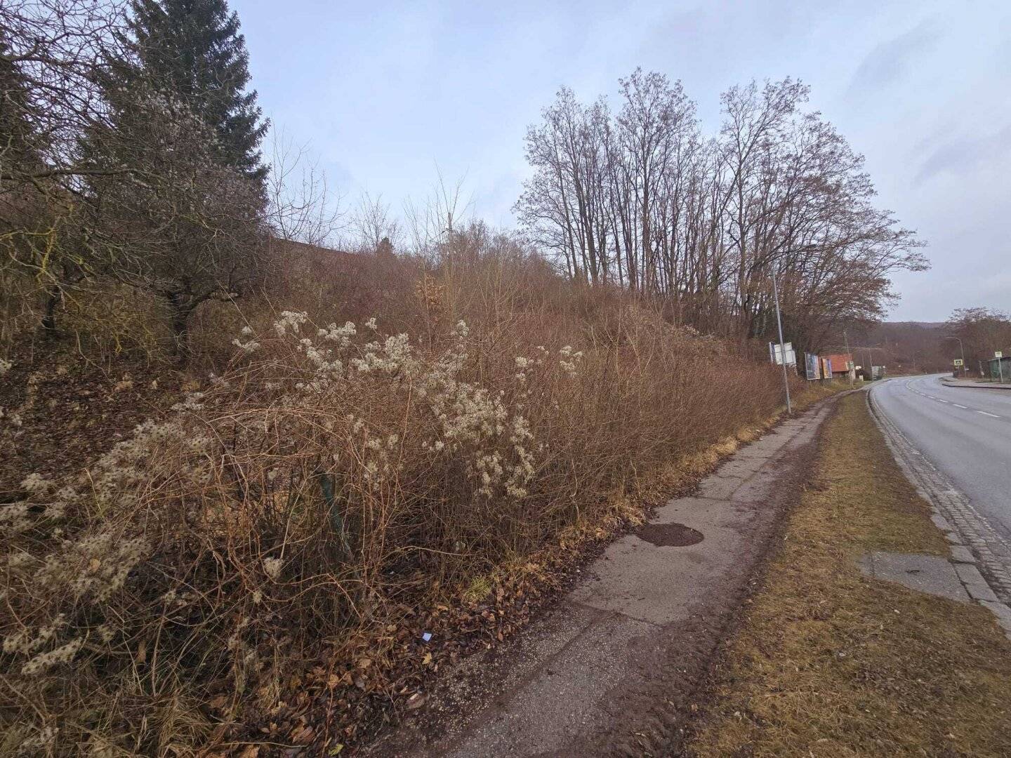Baugrundstück in Purkersdorf