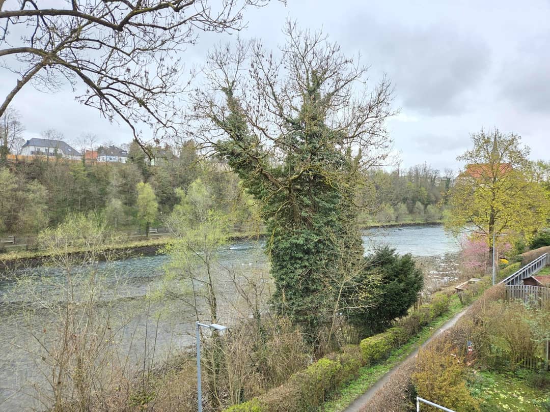 Immobilienbild 4