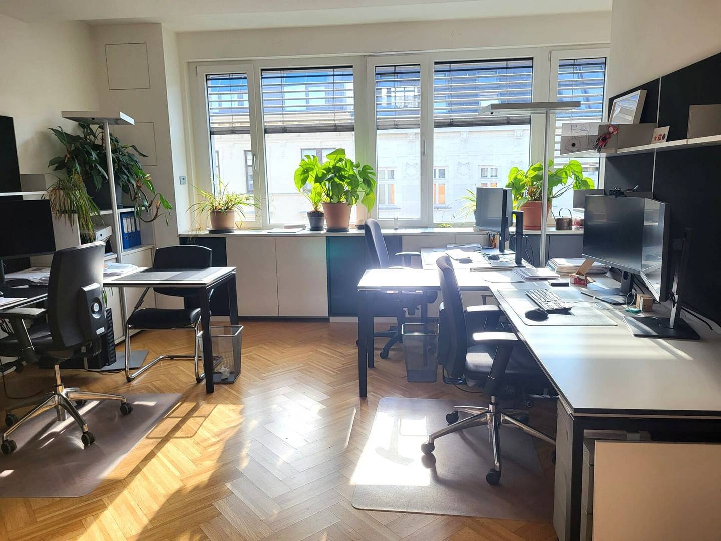 Cooled Terrace Offices in Ottakring