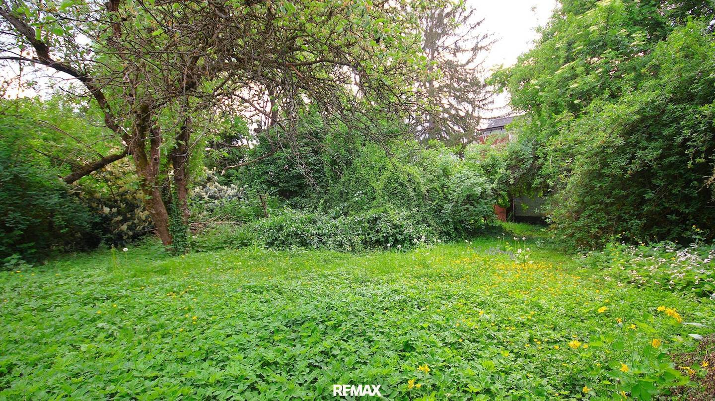 Scheigergasse: Baugrundstück 1.131 m²
