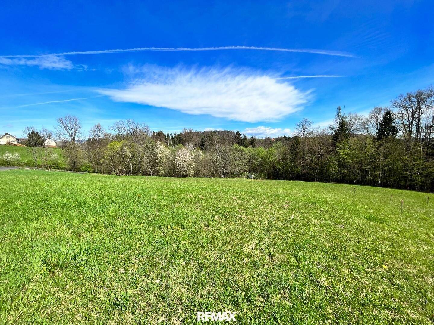629 m² sonniges Baugrundstück am Waldrand